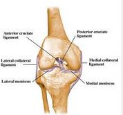Ligament Injuries and Knee Pain Relief